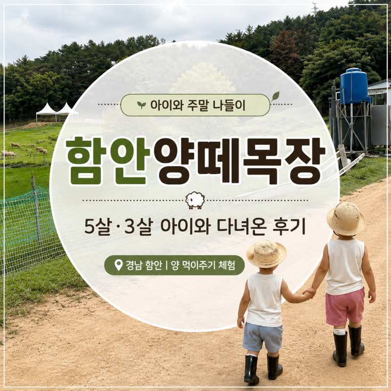 함안양떼목장 아이와 가볼만한곳｜5살·3살 아이와 다녀온 솔직 후기