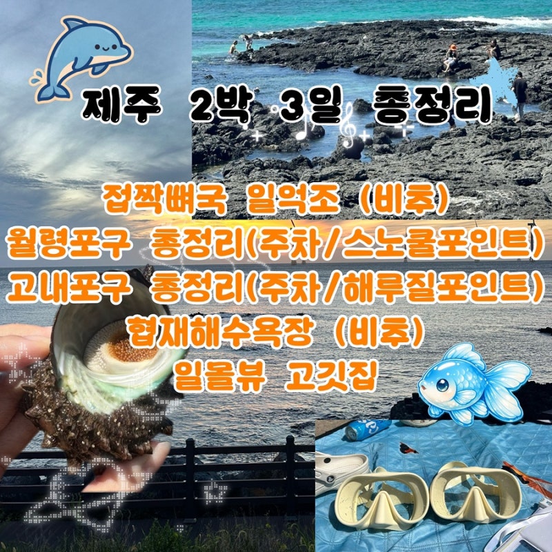 제주 서쪽 2박 3일 총정리 | 일억조 월령포구 고내포구 스노쿨포인트 협재해수욕장 일몰뷰....