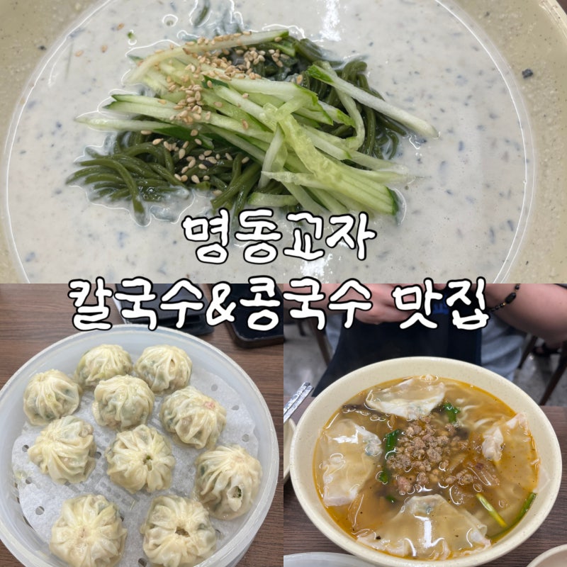 칼국수 싫어하는 사람도 반한 명동 칼국수 콩국수 맛집 명동교자