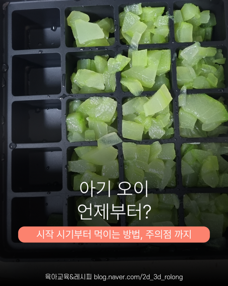 아기 오이 언제부터?6개월 이유식 오이 손질부터 생오이 먹는 시기까지