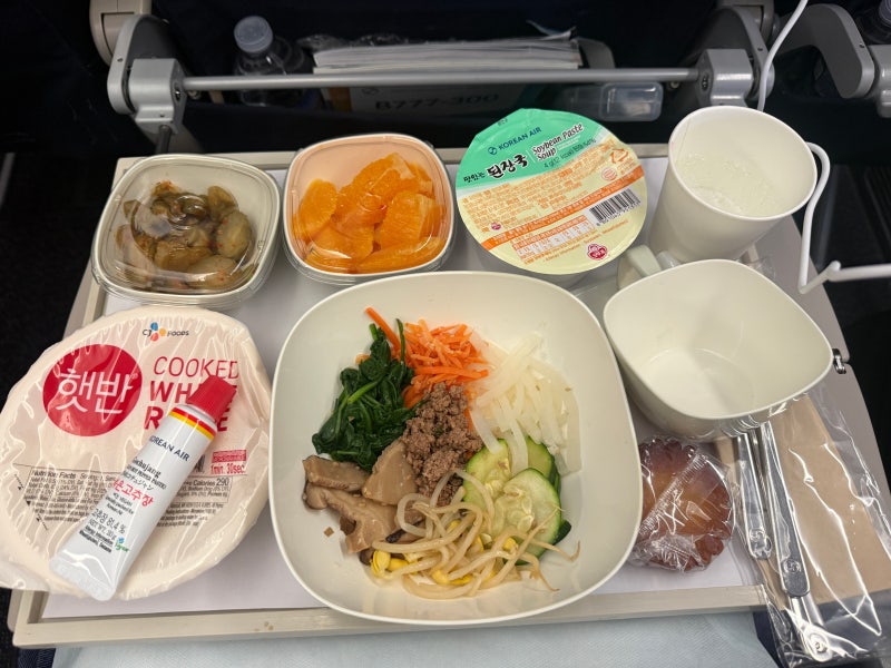 대한항공 기내식 정보, 대한항공 편의시설 및 와이파이 정보, 대한항공 미국-한국 비행기 내....