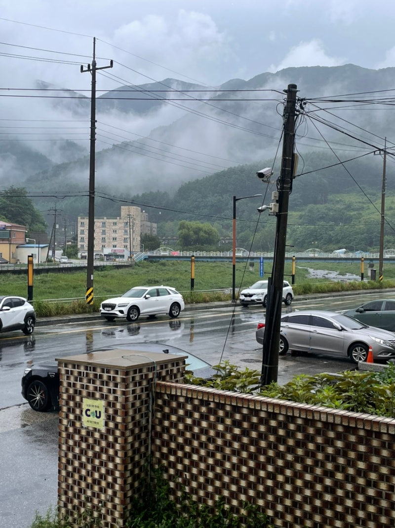 강원 정선 I 퍼시먼관광호텔 민둥산역 (가성비 숙소)