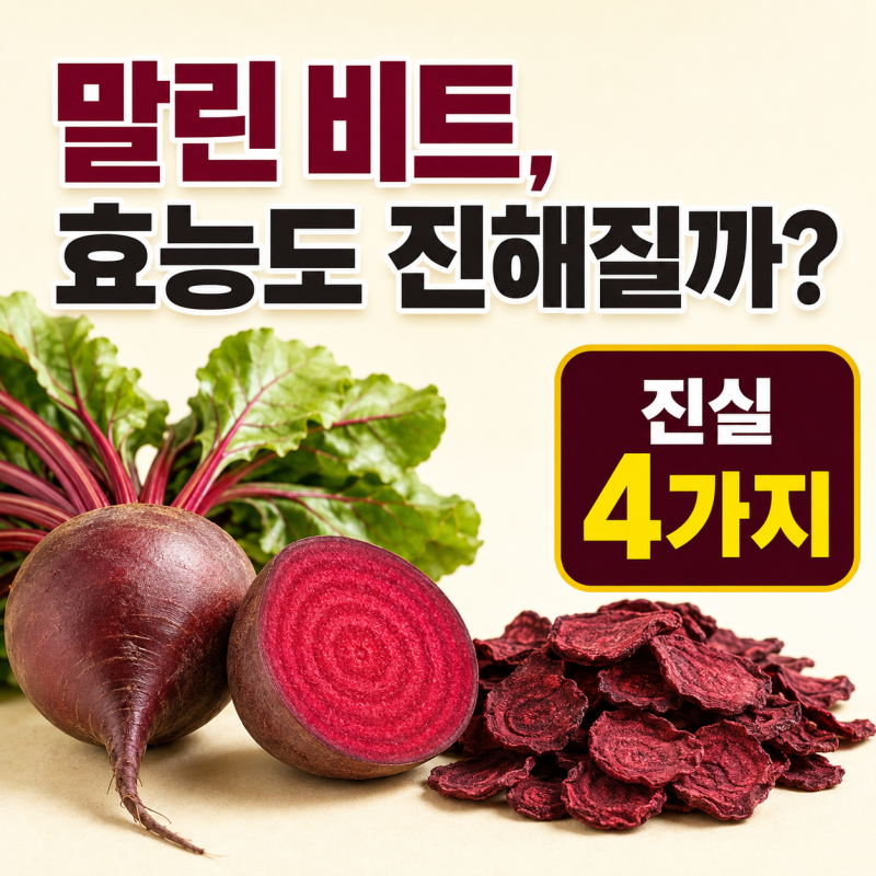 “말렸다고 효능까지 진해질까?” 비트효능·말린비트효능의 진실 4가지