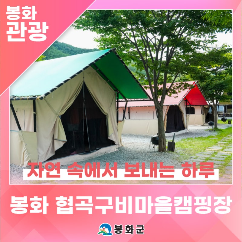 자연 속에서 보내는 하루, '봉화 협곡구비마을 캠핑장' | 제1기 봉화군 정책공감 서포터즈 이....