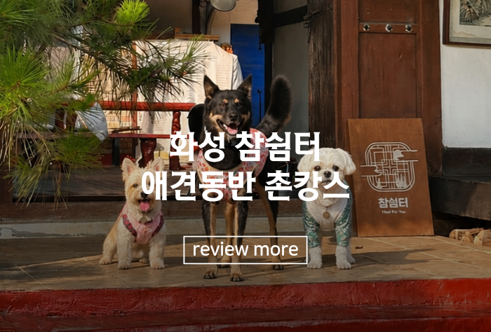 경기도애견동반펜션 | 견종·체중 제한 없는 한옥 촌캉스, 화성 참쉼터 애견동반