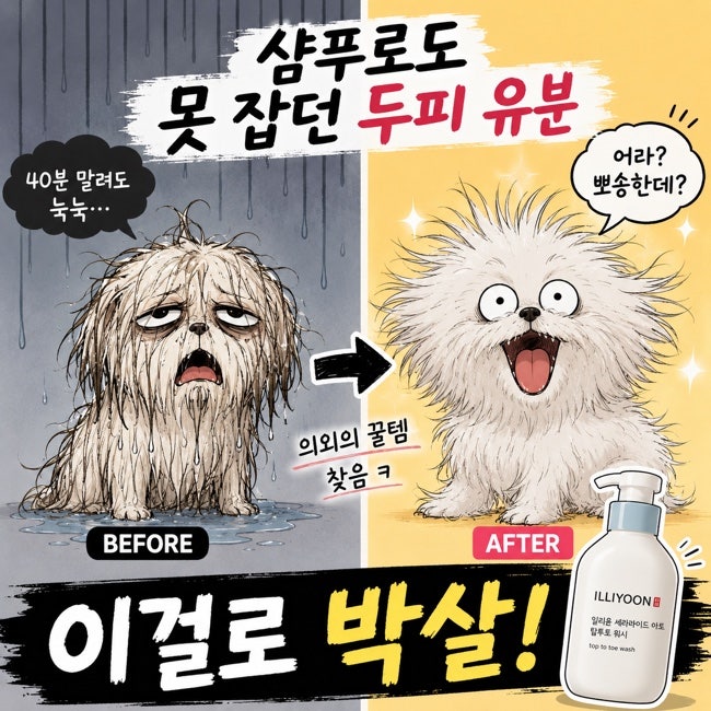 [지성두피]｜일리윤 탑투토 워시｜샴푸로도 못 잡던 두피 유분 박살낸 의외의 꿀템