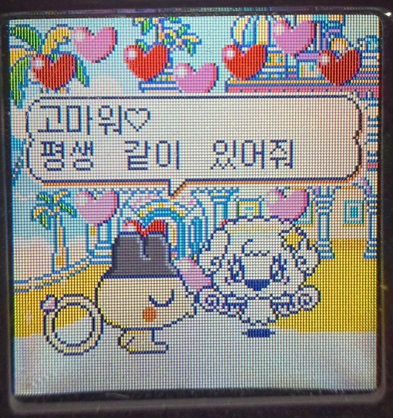 정들은 다마고치 결혼+출산 일지 (feat. 다마고치 썸)
