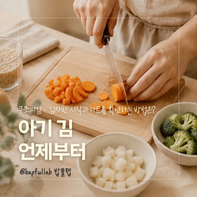 아기 김 언제부터? 9개월이면 괜찮을까, 무조미김·김자반 나트륨까지