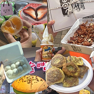 속초중앙시장 먹거리 내돈내산 맛집 추천