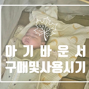 아기바운서 베이비뵨 구매 전 알아본 사용시기와 솔직 후기(feat. 꼭필요할까)