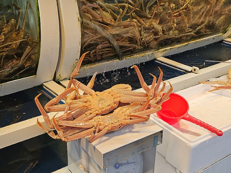 포항 죽도시장 대게 먹거리 물회 횟집 영업시간 주차장