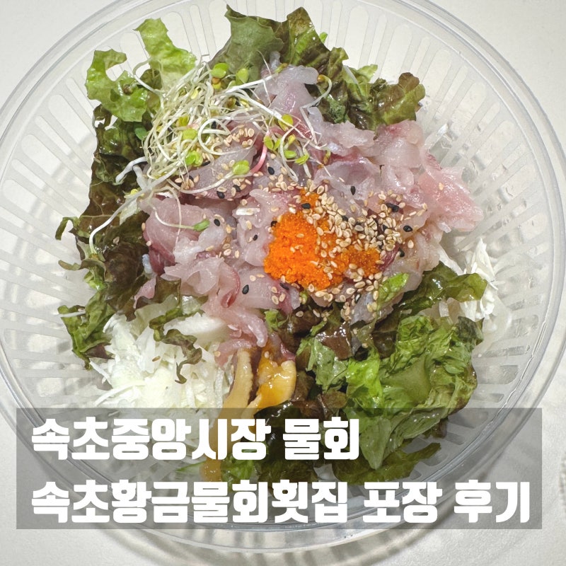 속초 물회 맛집 속초황금물회횟집 중앙시장 먹거리 포장 후기