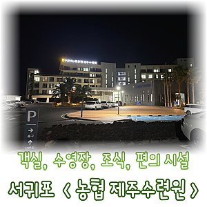 아이랑 다녀온 제주 서귀포 NH농협생명 제주수련원 객실 후기부터 수영장 조식 부대시설 총....