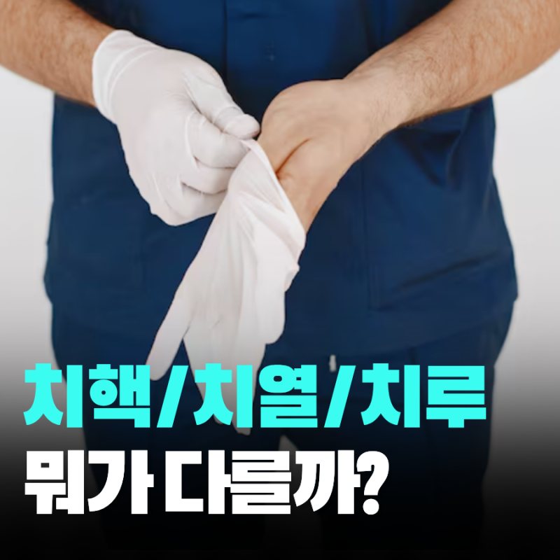 치핵 치열 치루 차이점