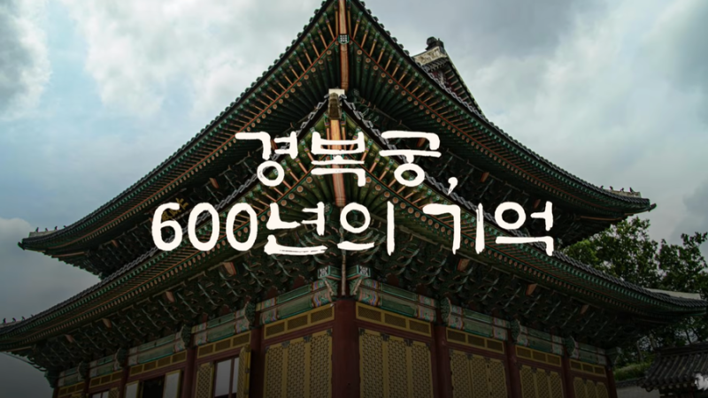 "익스큐즈 미, 플리즈"부터 "땡큐"까지