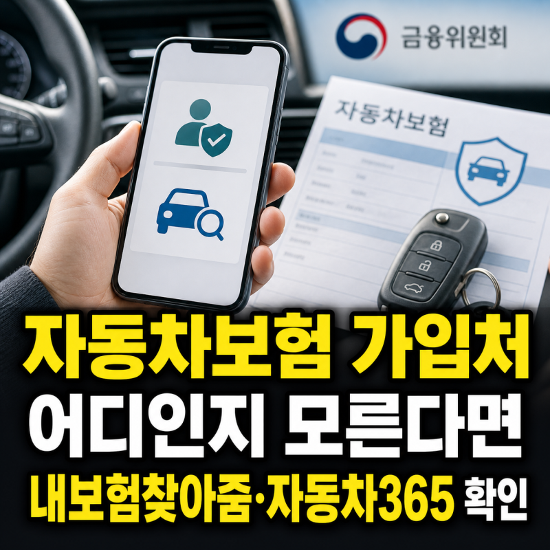 내 자동차보험 가입처 조회법, 내보험찾아줌과 자동차365