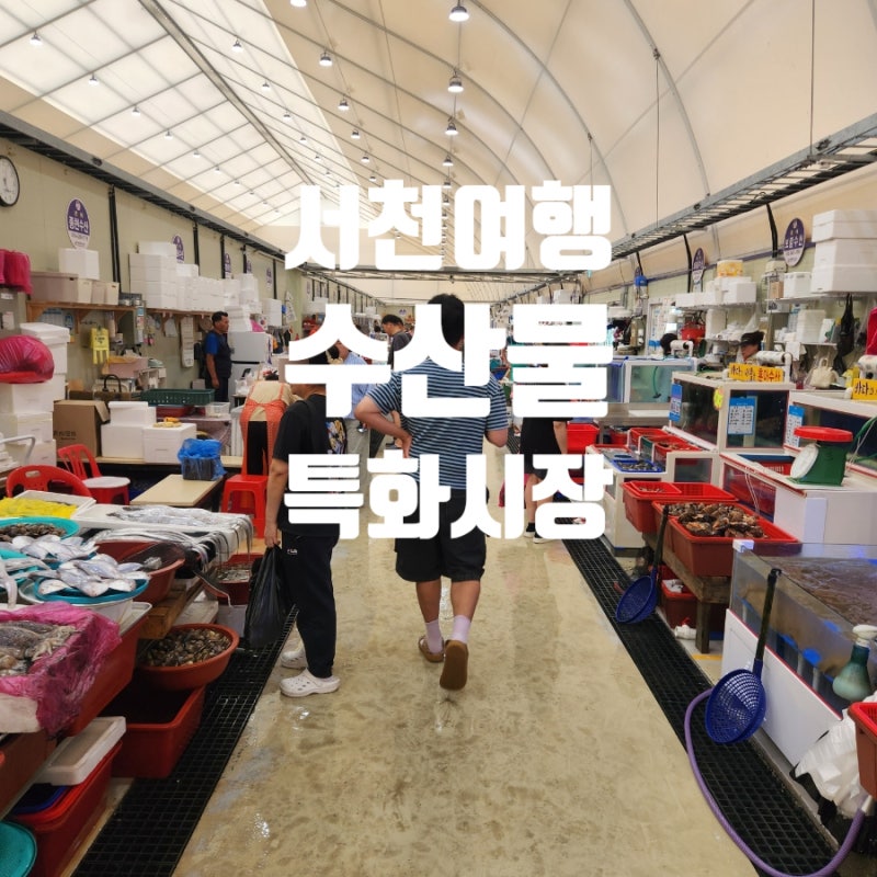 서천특화시장 수산물 5일장 날짜