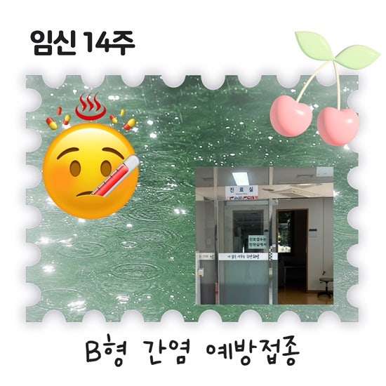 임산부 14주 | B형간염 1차 예방접종 | 동탄보건소