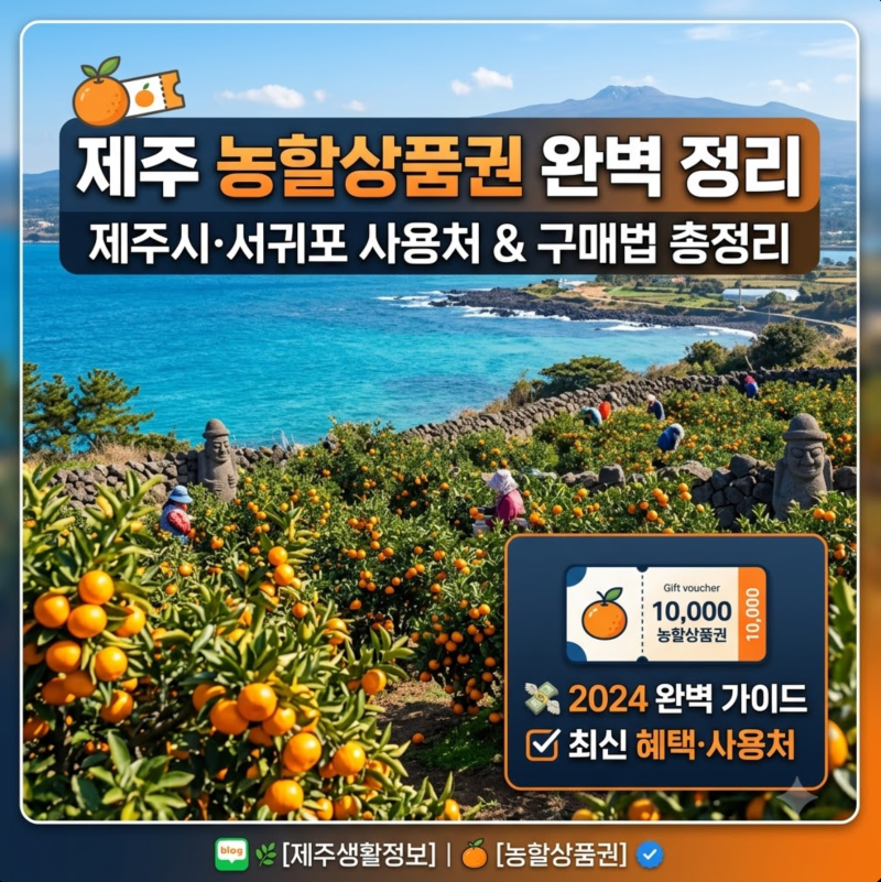 제주 농할상품권 어디서 구매? 구매앱 확인하고 제주시 서귀포 사용처 찾기