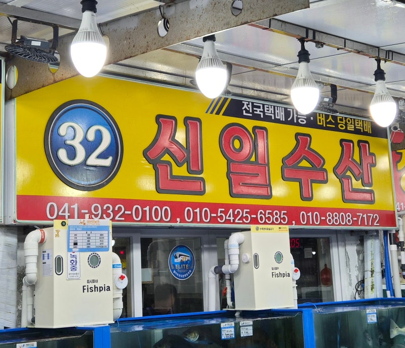 대천항 수산시장 회 포장 추천｜매번 다시 찾는 31·32호 신일수산