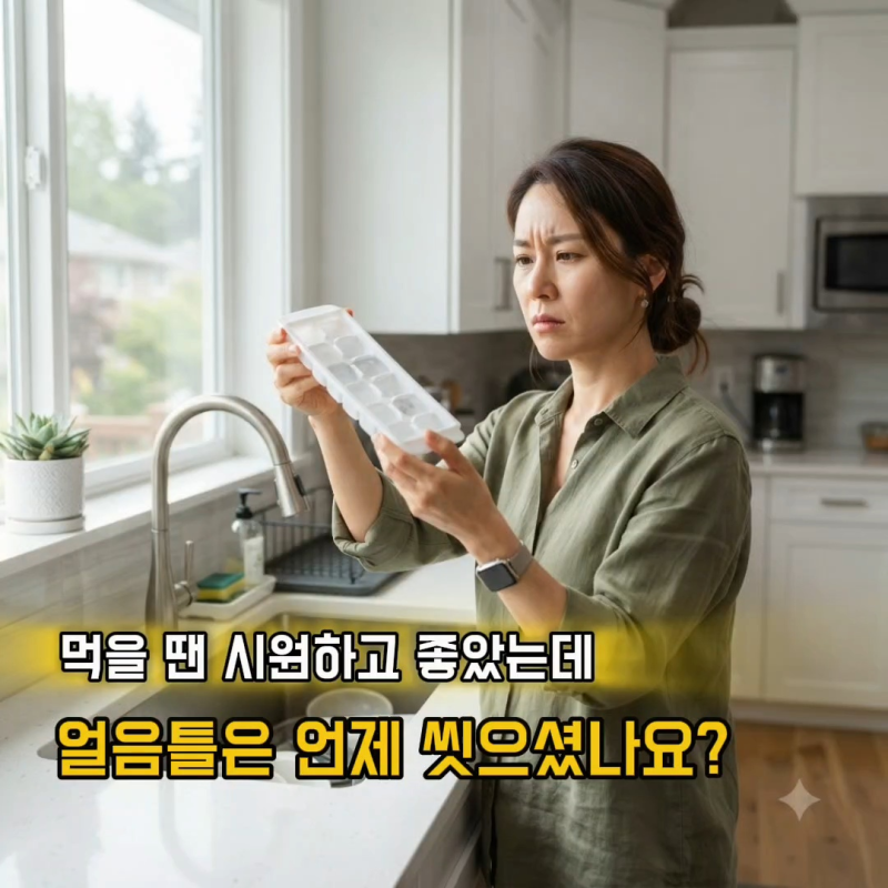 얼음냄새 얼음틀 세척 방법, 식초로 트레이 소독하는 법