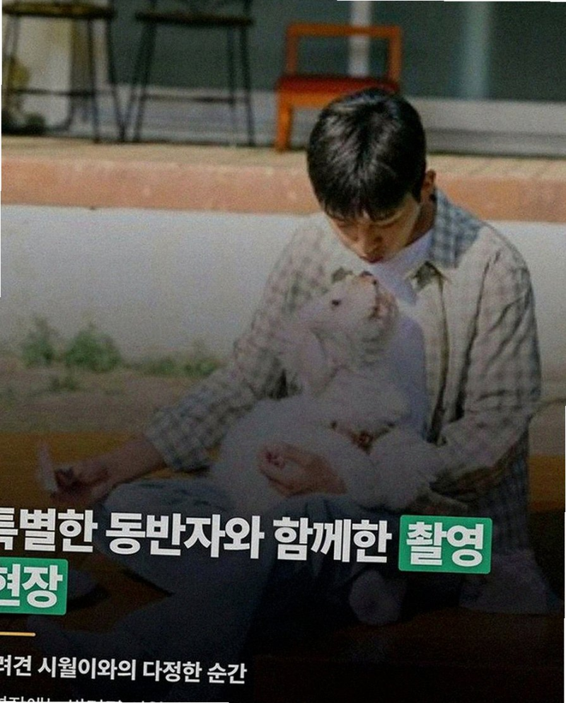 영화 바비 2 제작 무산 위기 마고 로비 협상 결렬된 이유와 포인트