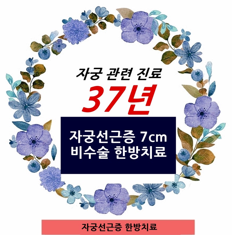 화성 자궁선근증(자궁선근종) 7cm, 자궁적출수술을 권유받고 고민이라면