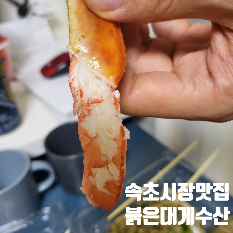 속초 맛집, 속초시장 대게 맛집 붉은대게수산