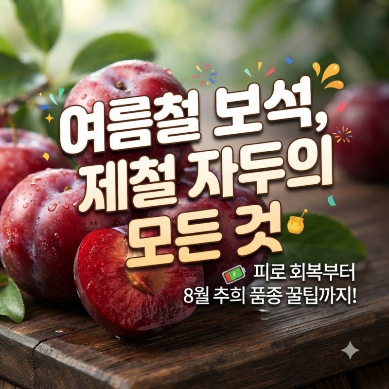 여름 제철 자두 효능 및 먹는방법