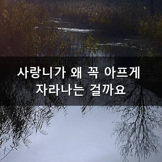 사랑니 발치 후기랑 관리 방법 총정리