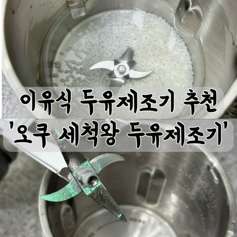 내돈내산 이유식 두유제조기 추천! 칼날 분리 세척되는 오쿠 두유제조기 솔직후기