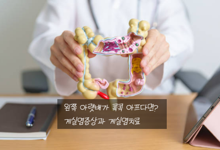 왼쪽 아랫배가 콕콕? 게실염증상과 게실염치료