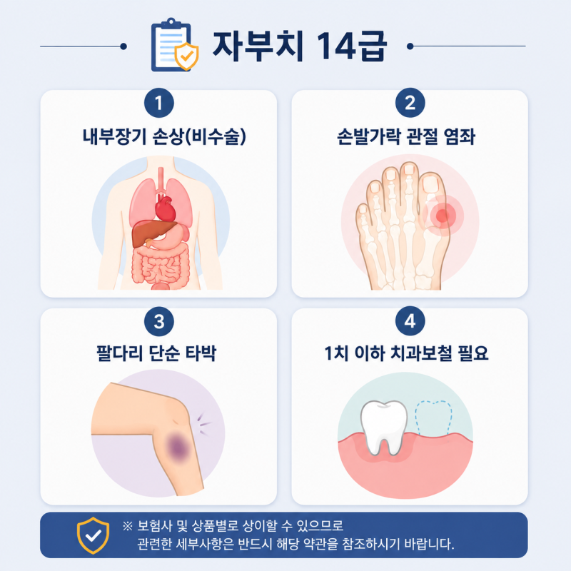 자부치 14급, 타박상과 염좌도 해당될까? 약관 기준 쉽게 정리