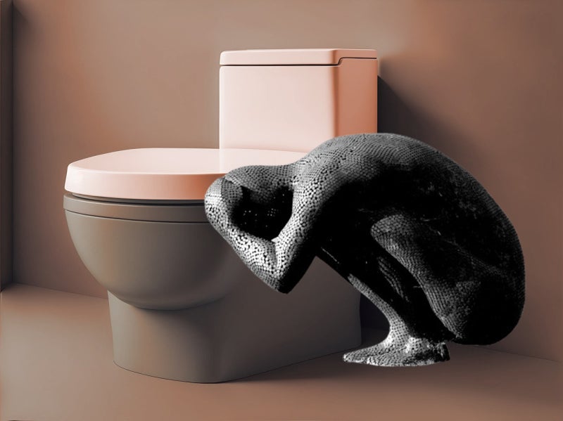 노인 어르신 변비: 예방 및 일상생활교육