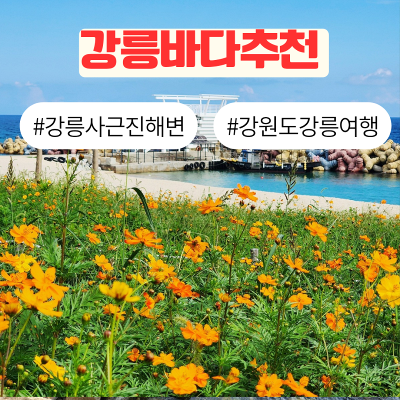 강원도 강릉 여행 사근진해변 해수욕장 강릉 바다 추천