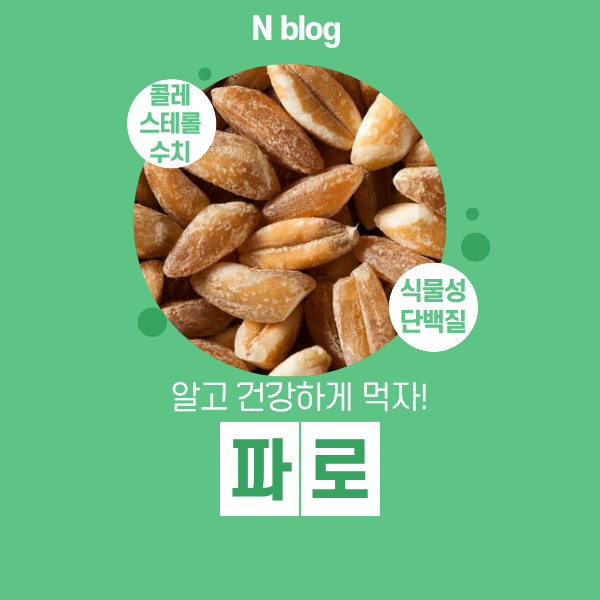 고대 곡물 파로 콜레스테롤 수치 낮춘다 파로밥 하루 섭취량 먹는법