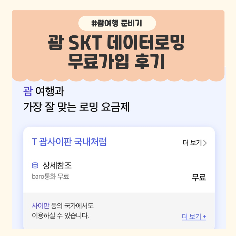 [괌여행 준비기8] 괌 SKT 데이터로밍 가입 후기(유심 이심 비교)
