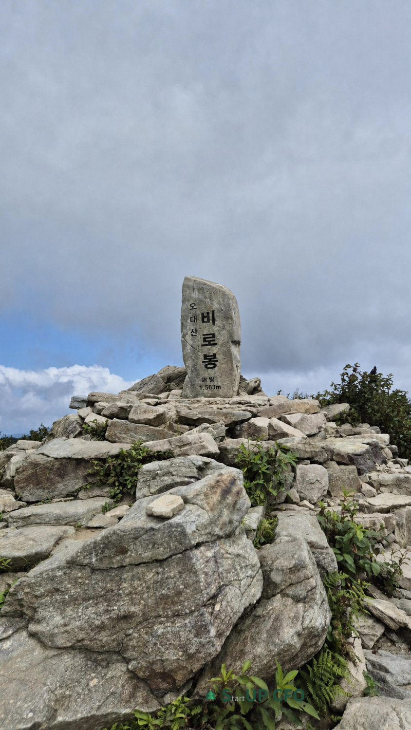 오대산 비로봉 등산(9.4km)과 선재길 트레킹(9.1km), 등산과 계곡 트레킹을 한번에