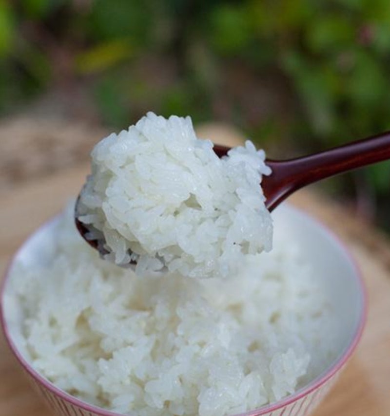 요즘 쌀이 왜 맛없게 느껴질까? 여름철 밥맛 떨어지는 이유와 맛있는 쌀 고르는 법