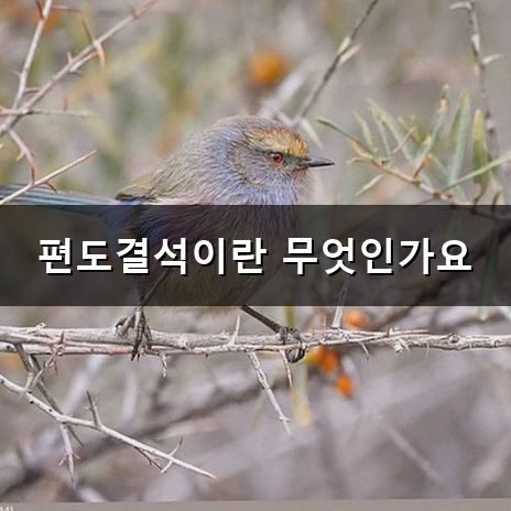 편도결석 빼는법 집에서 안전하게 관리하는 요령