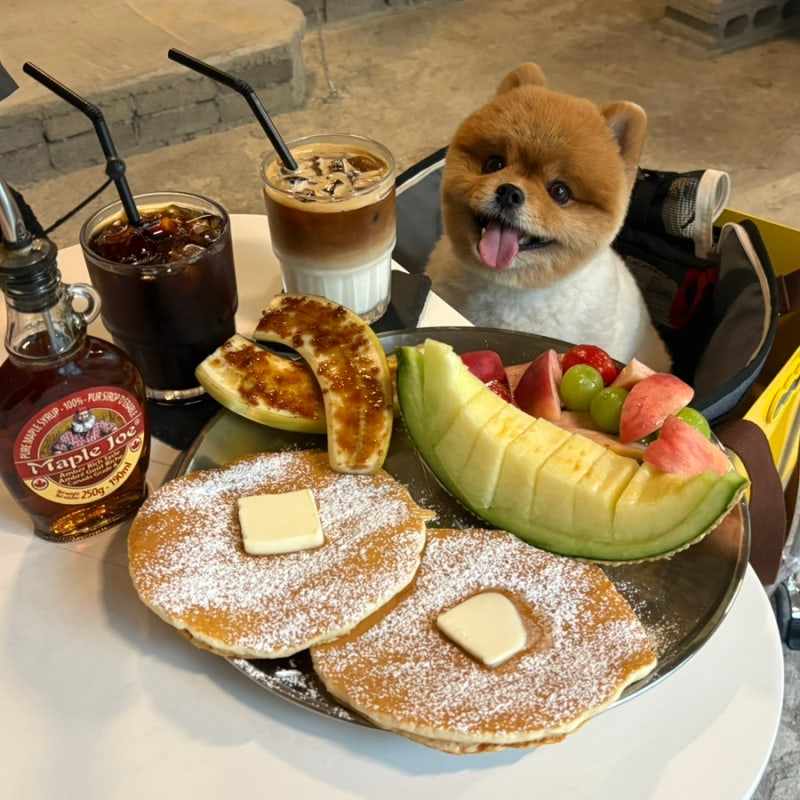 광안리 애견동반카페 추천 카페센터 팬케이크 맛집