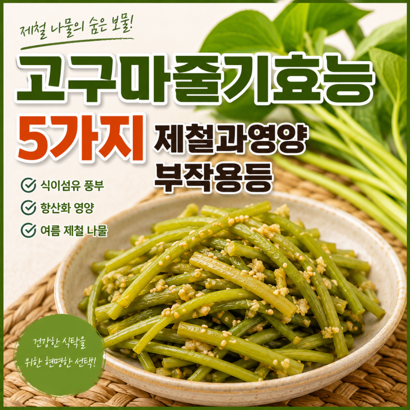 고구마줄기효능 5가지 제철과영양 부작용등