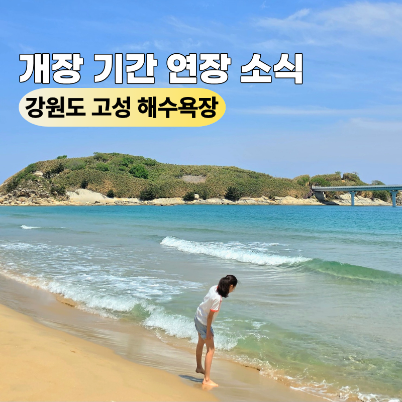 아쉬웠다고요 강원도 고성 해수욕장 폐장 11곳 개장 연장 폐장일 리스트