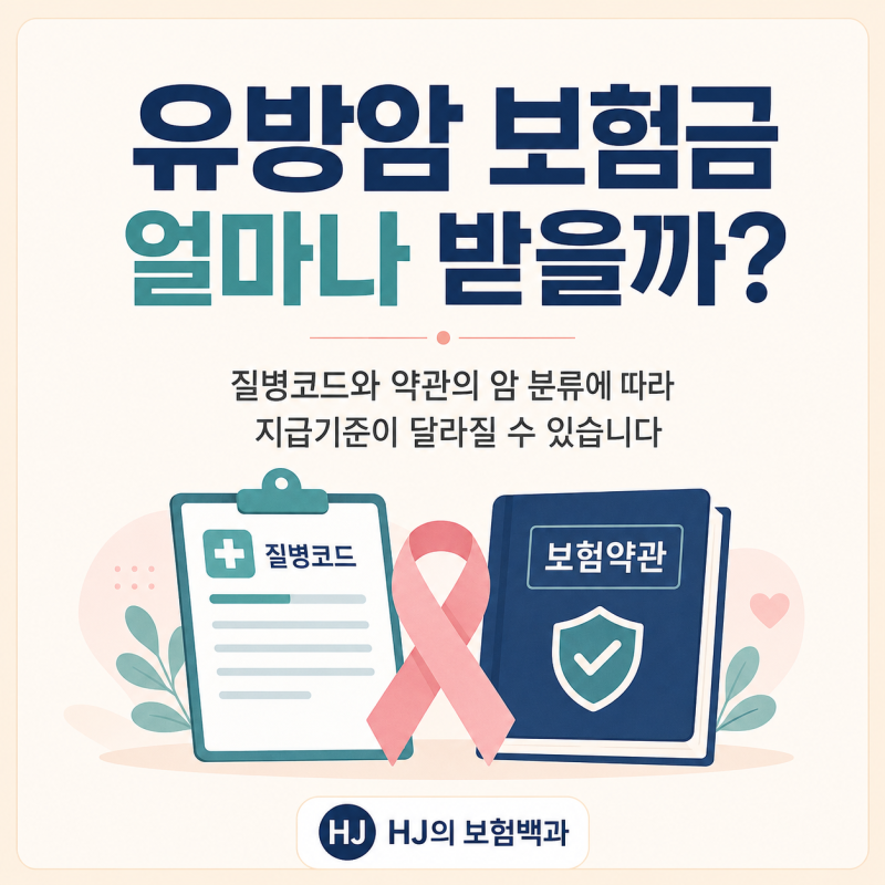유방암 보험금 얼마나 받을까? C50·제자리암 지급기준