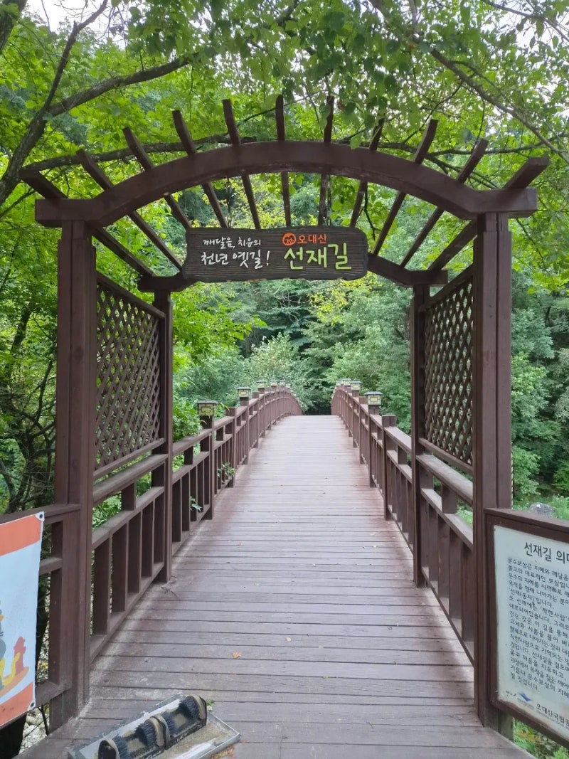 오대산 선재길 코스｜월정사~상원사 난이도·소요시간·주차장·버스시간표