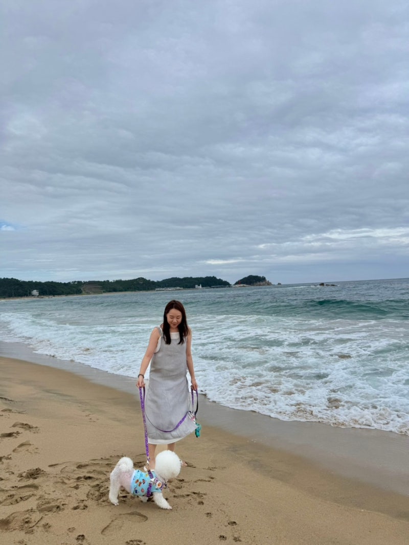 [고성] 반려견과 1박2일 고성여행 | 무꿈, 동루골막국수, 장도호물회가리비구이, 해맞이횟집, ....