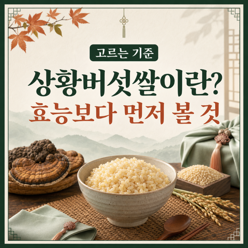 상황버섯쌀이란? 효능보다 먼저 확인할 제조방법과 구매 기준 6가지