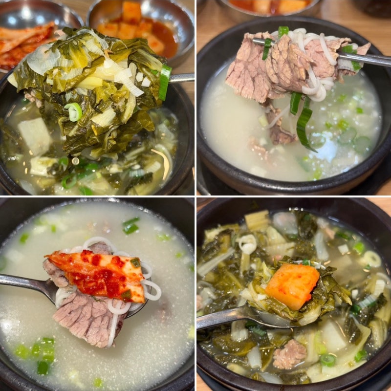 [서울깍두기] 고속터미널 경부선 맛집 혼밥하기 좋은 고터 한식