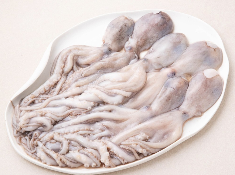 낙지 손질법 총정리, 밀가루 없이 점액질 빼는 법