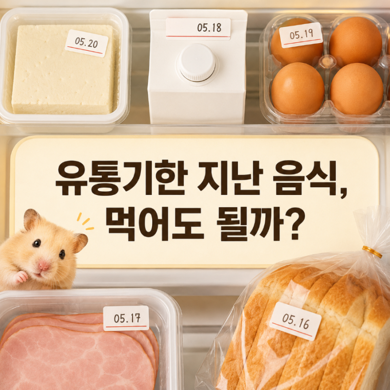 유통기한 지난 음식 먹어도 될까? 식품별 소비기한 10가지